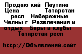 Продаю кий “Паутина“ › Цена ­ 11 000 - Татарстан респ., Набережные Челны г. Развлечения и отдых » Бары и клубы   . Татарстан респ.